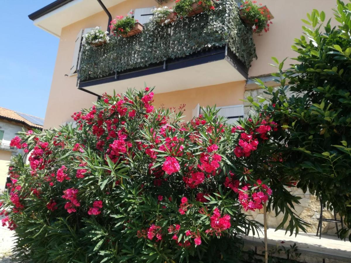 La Magnolia